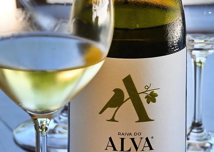 Quinta Da Aldeia Nova