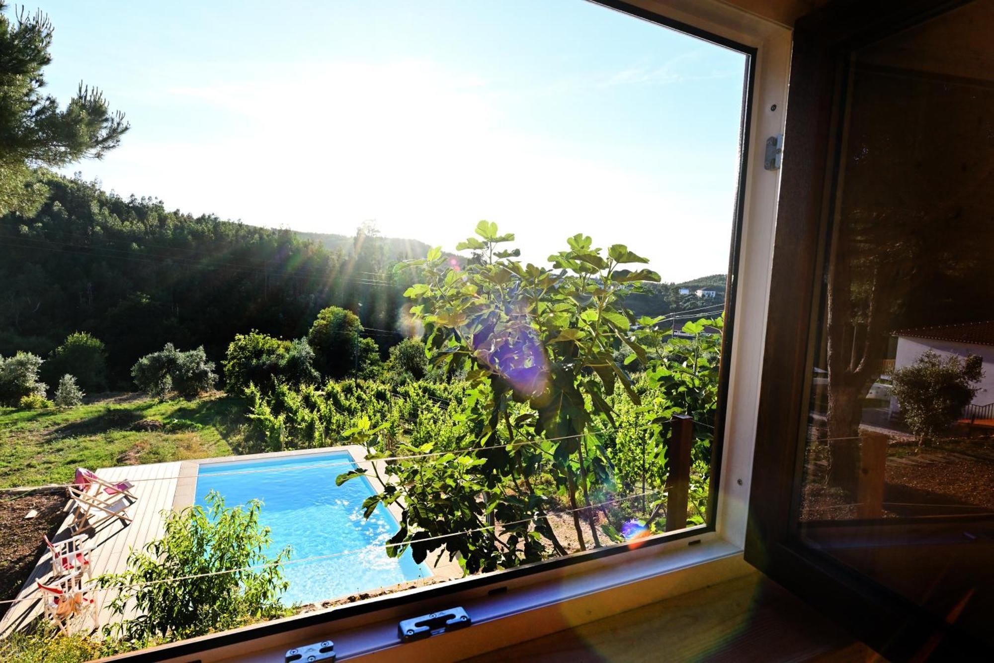 Quinta Da Aldeia Nova Arganil