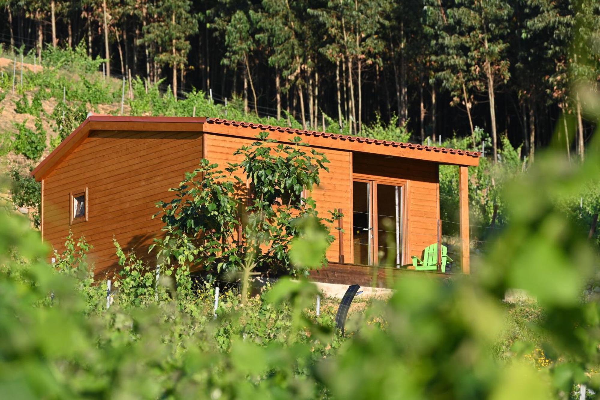Quinta Da Aldeia Nova Vakantieboerderij *