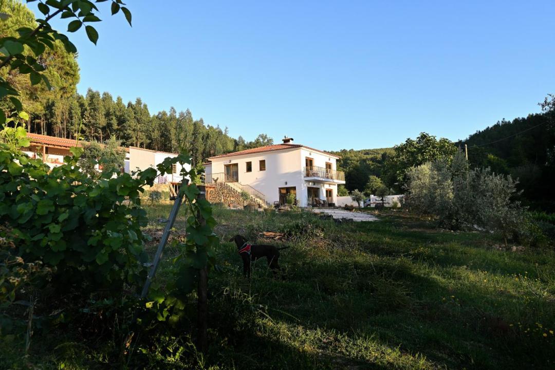 Farm stay Quinta Da Aldeia Nova *
