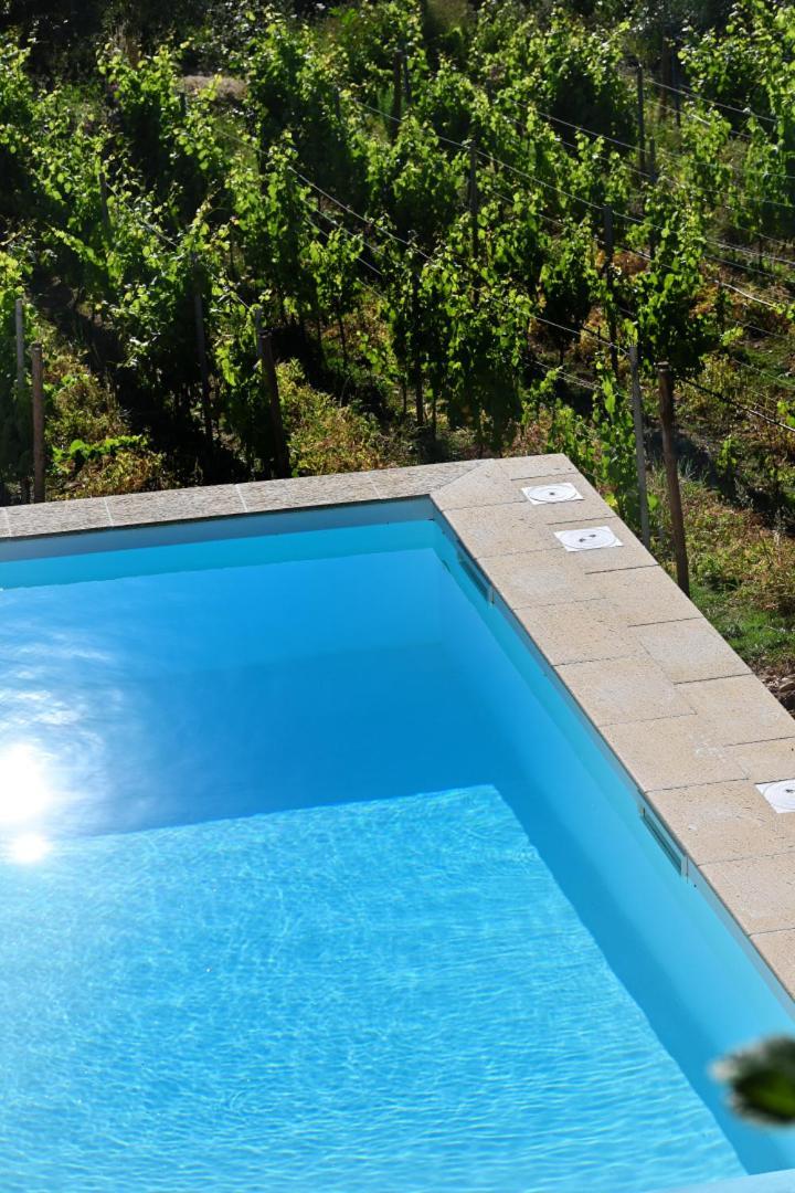 Quinta Da Aldeia Nova * Arganil